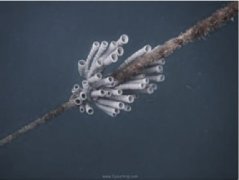 <b>�����Ľ�ѵ��������Ӿ</b>