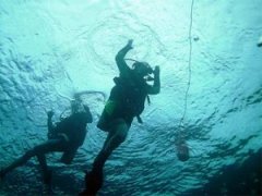 �����Ľ�ѵ��ͷ������