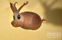 ��֪��������������8�����������