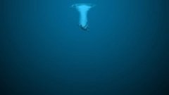 ��־�֢���ֲ�