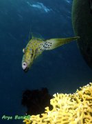 ˮ����Ӱ΢������30��