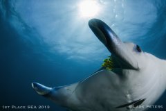 ���ݱ���ˮ����ӰЭ��2013�����Ʒ