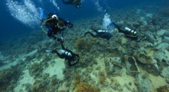 �������ˣ������������� ����45���ӿ�Ǳˮ15��