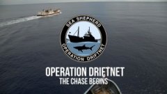 �������й��洬��ӡ��������ʲô��