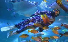 �ձ�Ů�Ӵ��ͷ�Ǳˮι�� չ�ֱ�������