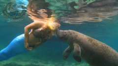 <b>��δ����ͯ�ģ��������㡱�Ѵ�ͯ���ε���ʵ��ˮ��</b>