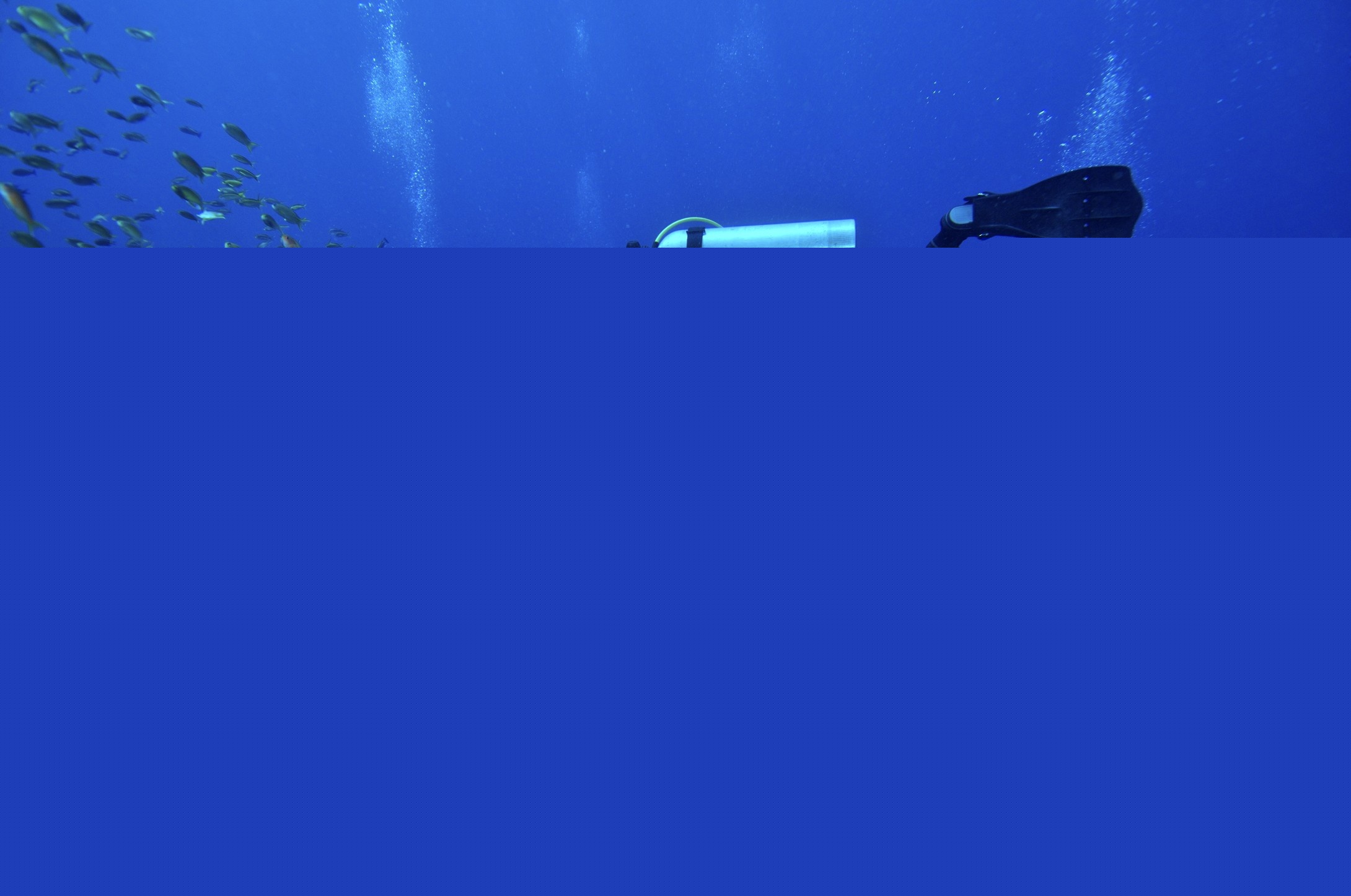 8�н������ʶ��һ���߱Ƹ��Ǳ��