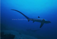 ��β�裬��ᡰ��ƨ�ɡ������㣡